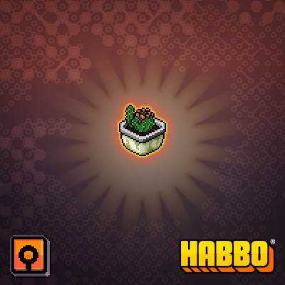 Potted Cactus 1